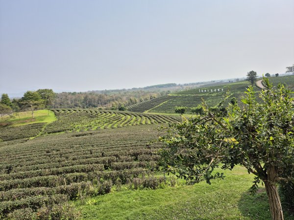 Glück passiert im Jetzt. Warum echte Verbundenheit mehr ist als Vernetzung