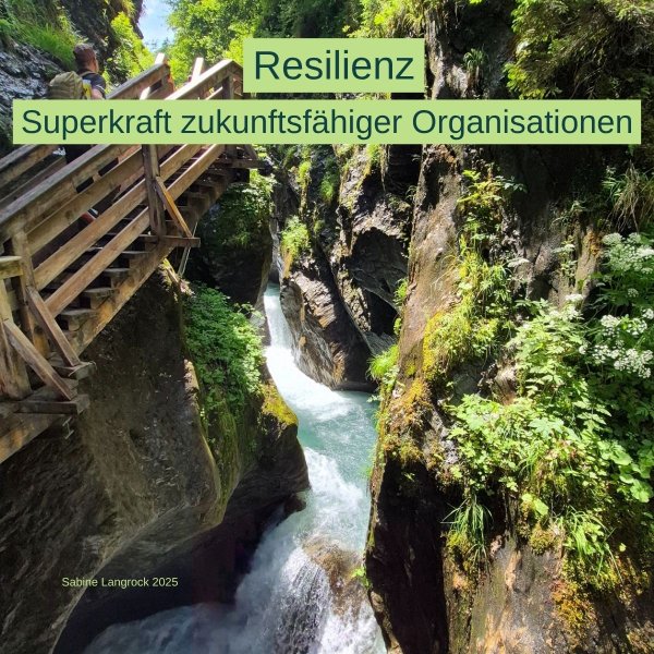 Resilienz